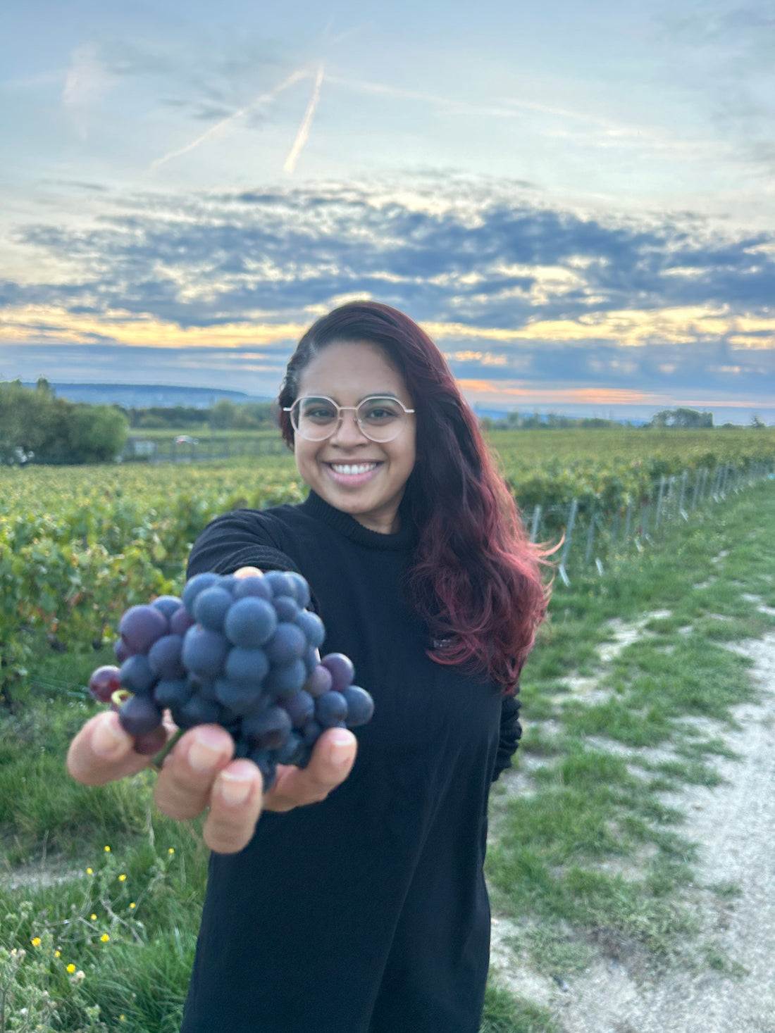 Discover the Champagne region with tips, tours, experiences, and insider insights. Local guides help make your visit unforgettable.