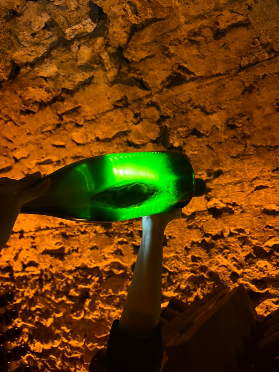 Champagne immersion - 1 DIA 