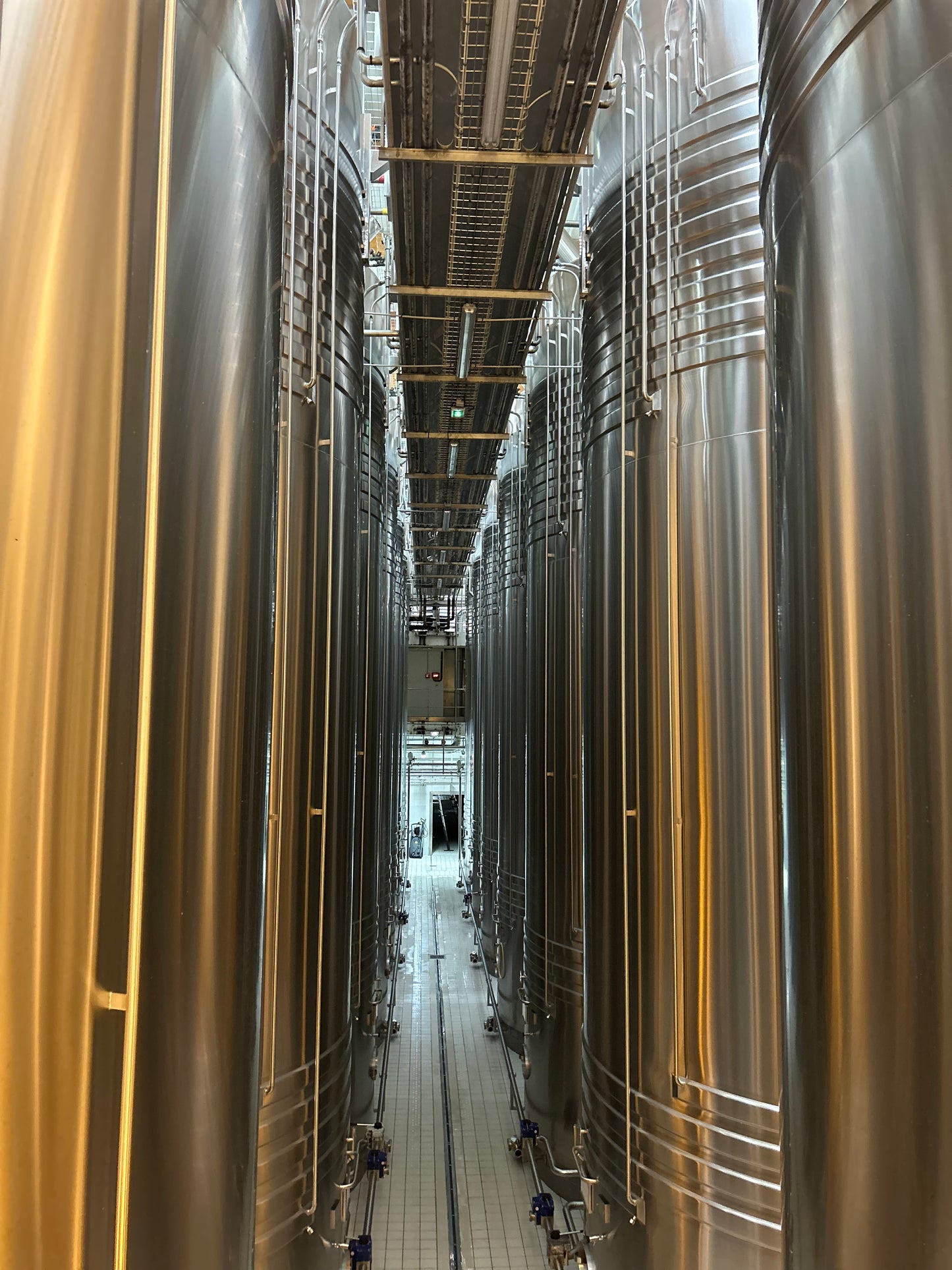 Epernay: Descubra a Avenue de Champagne & Visita a um Produtor Local