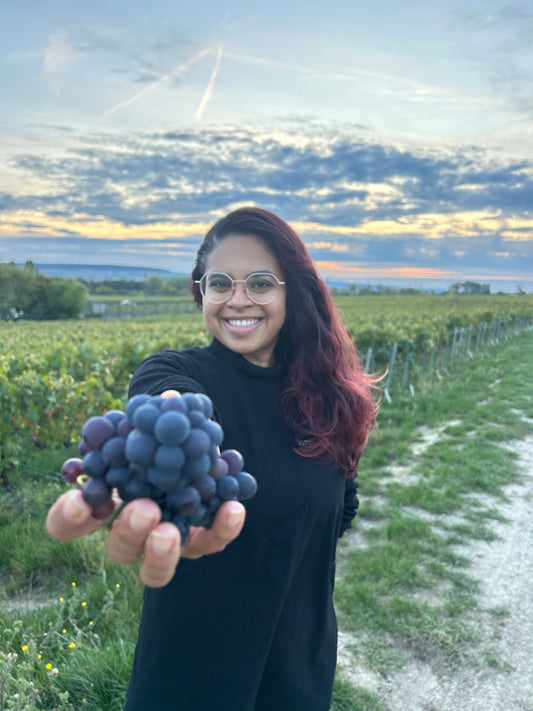 Taylor made Itinerary